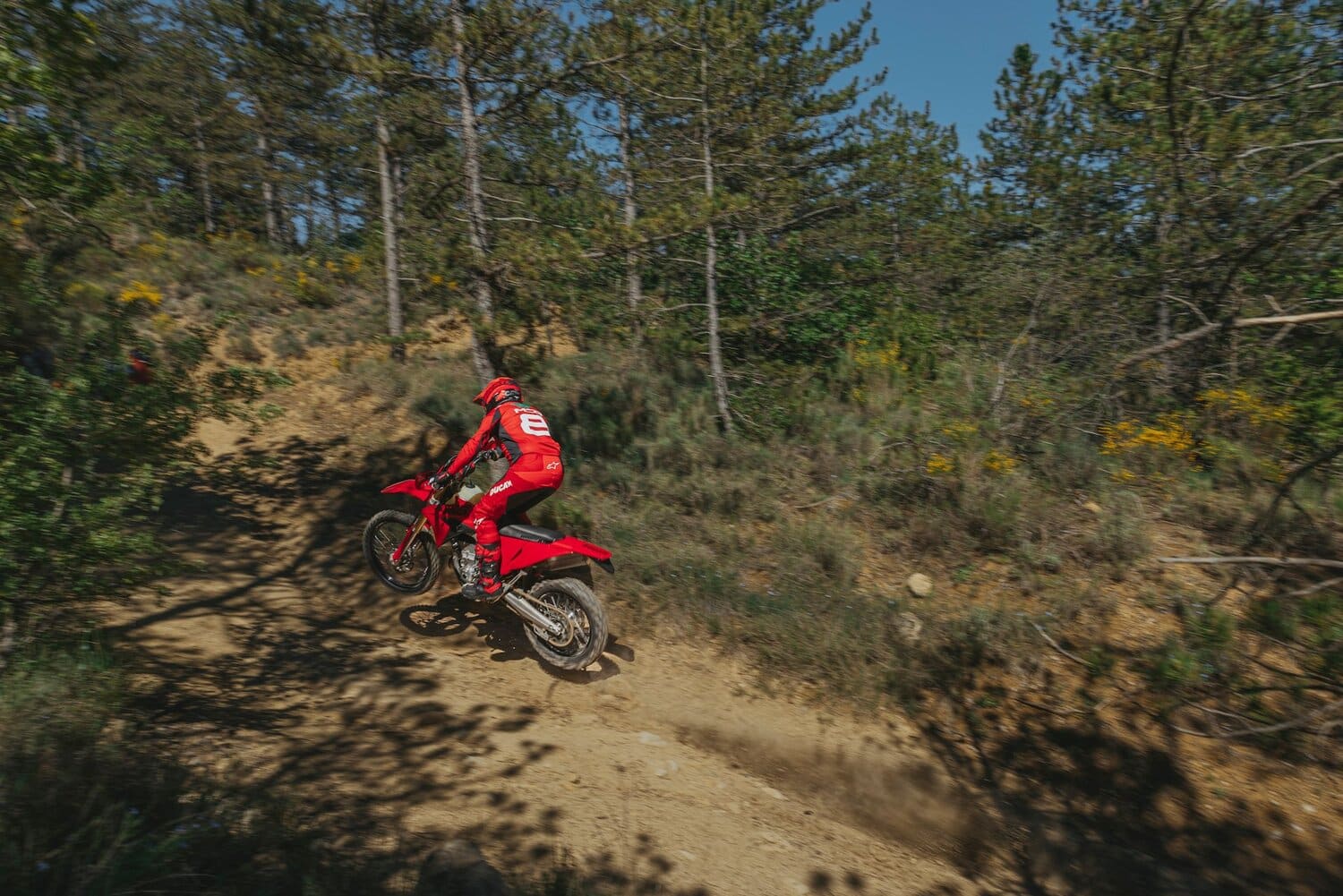 nuova desmo450 eds nuova desmo450 eds dove acquistarla
