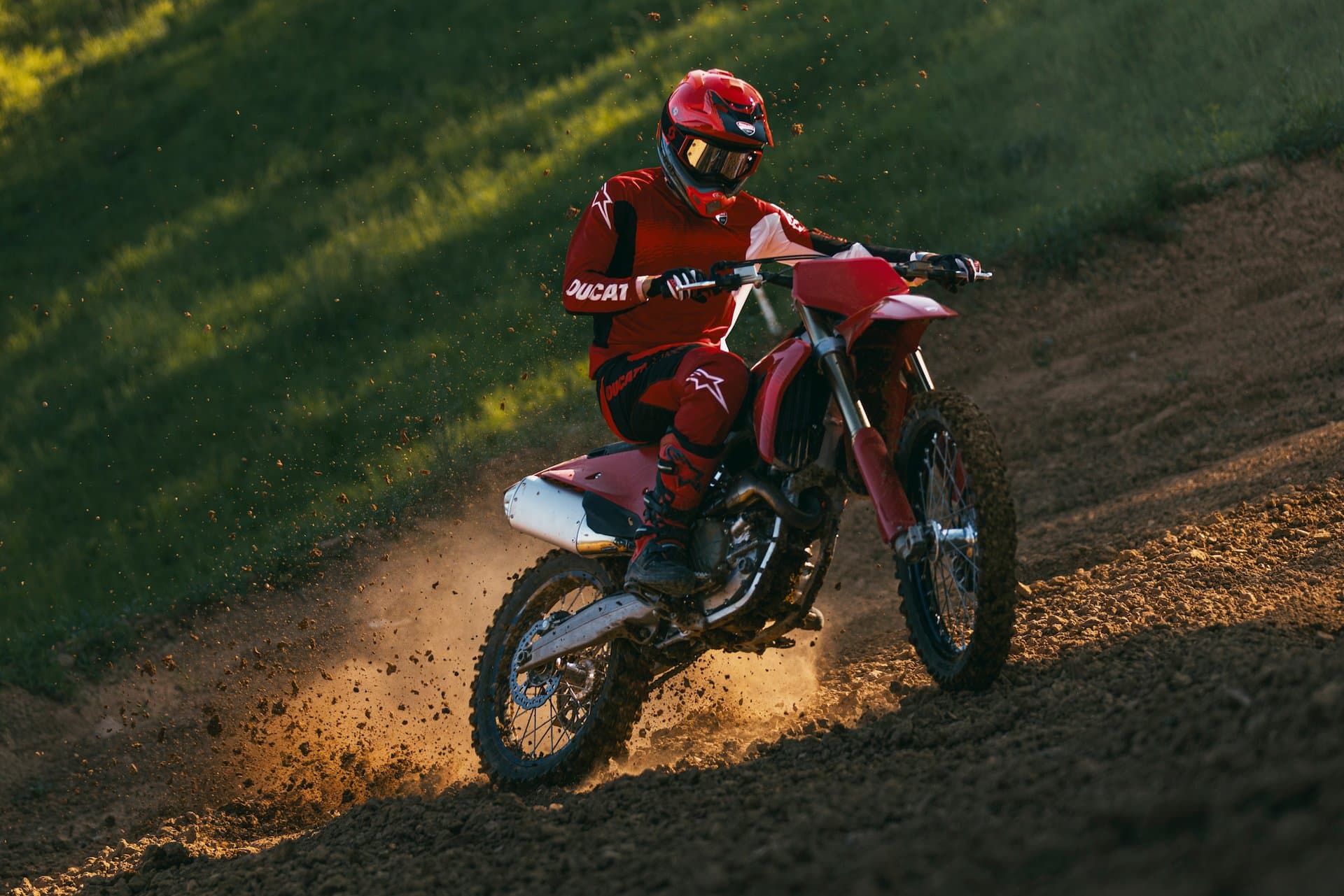 Desmo250 MX